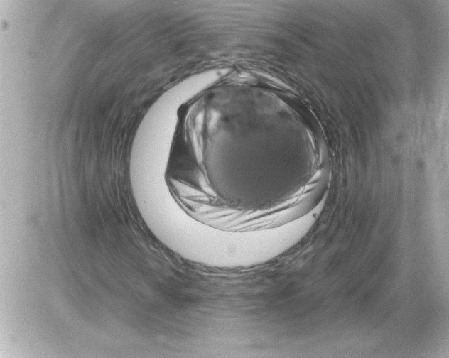 X0000085311010200704092317