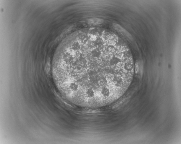 X0000085311011200704092317