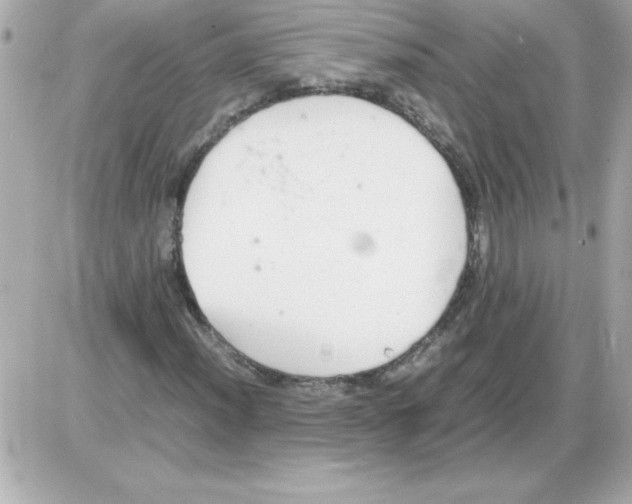 X0000085311012200704092317