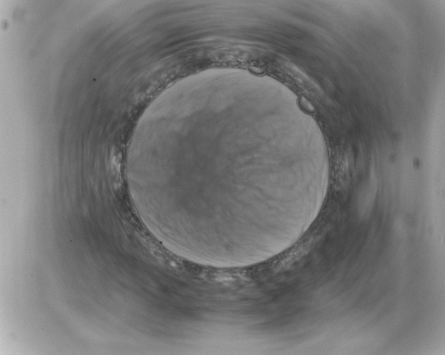 X0000085311013200704092317