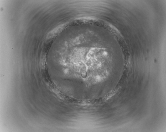 X0000085311014200704092317