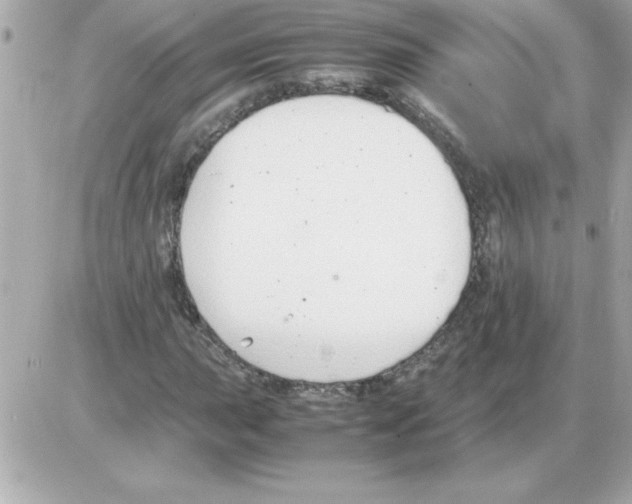 X0000085311015200704092317