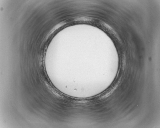 X0000085311017200704092318