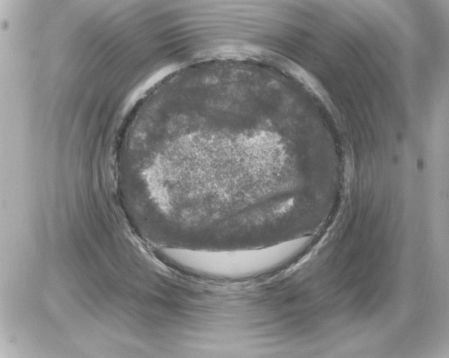 X0000085311018200704092318