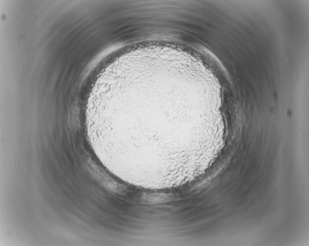 X0000085311019200704092318