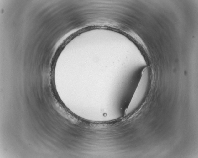 X0000085311020200704092318