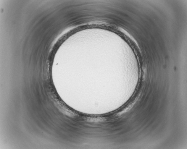 X0000085311021200704092318