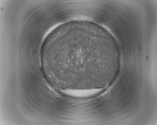 X0000085311022200704092318