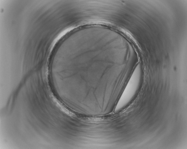 X0000085311024200704092318