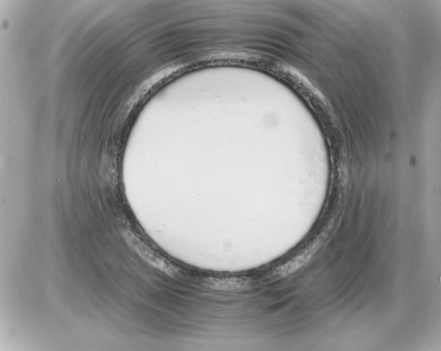 X0000085311025200704092318