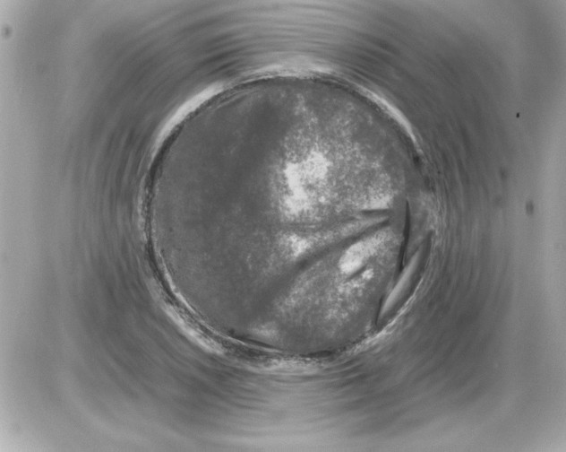 X0000085311026200704092318