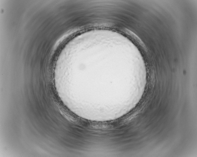 X0000085311027200704092318