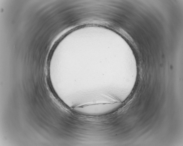 X0000085311028200704092318