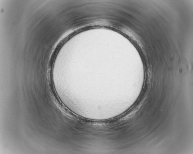 X0000085311029200704092318