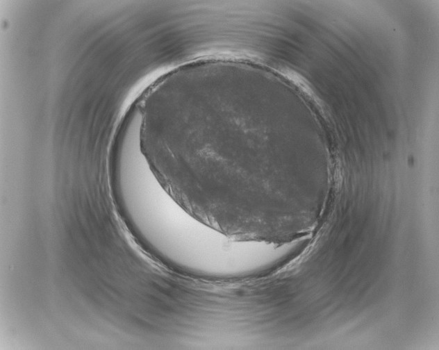 X0000085311030200704092318