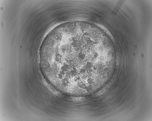 X0000085311031200704092318