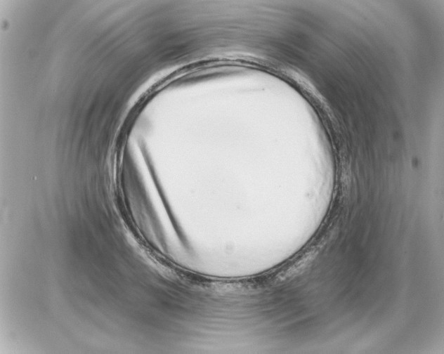 X0000085311032200704092318