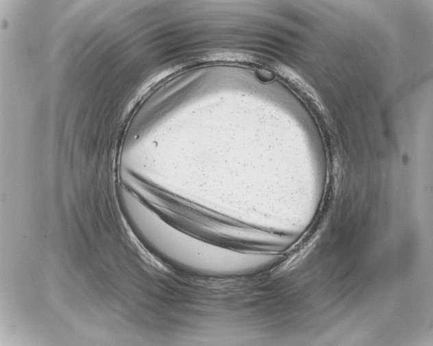 X0000085311033200704092318