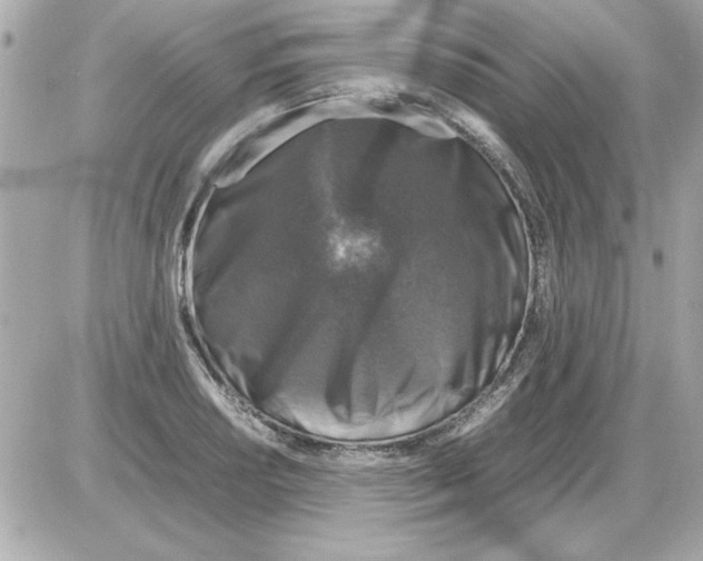 X0000085311034200704092318