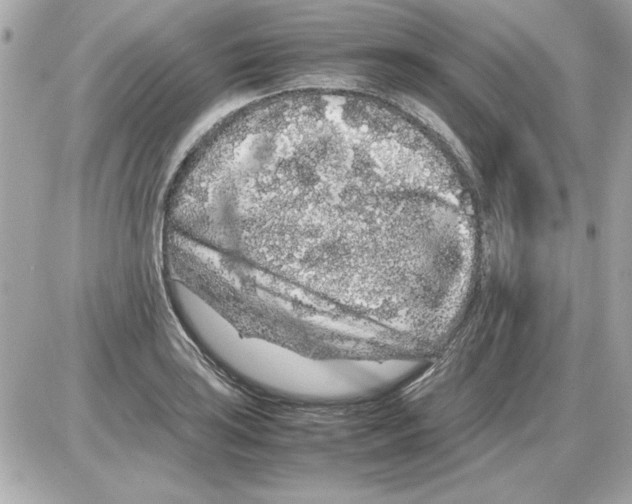 X0000085311035200704092318