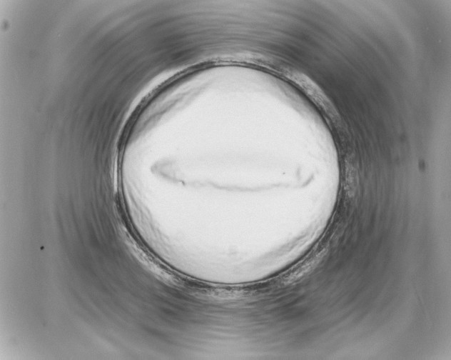 X0000085311036200704092318