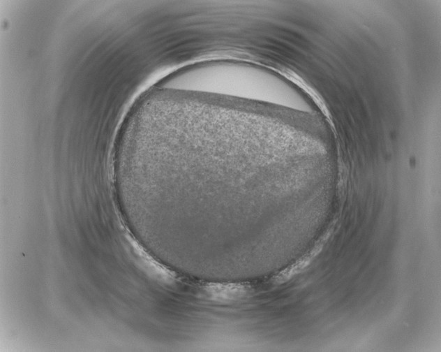 X0000085311037200704092318