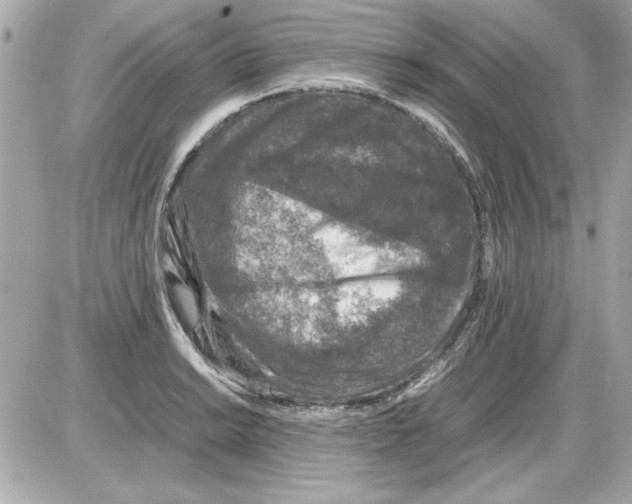 X0000085311038200704092318