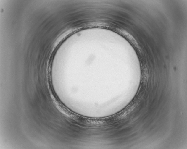 X0000085311039200704092318