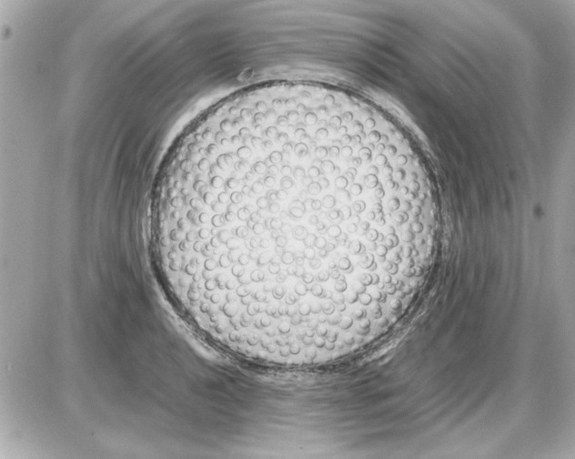 X0000085311040200704092318