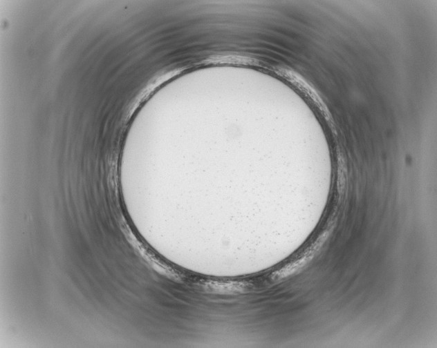 X0000085311041200704092318