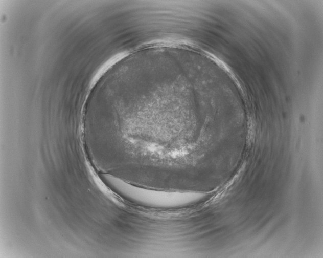 X0000085311042200704092318