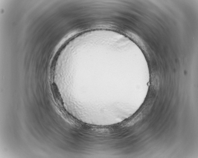 X0000085311043200704092318