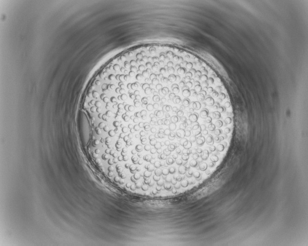 X0000085311044200704092318