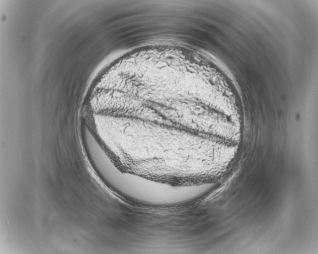 X0000085311045200704092318