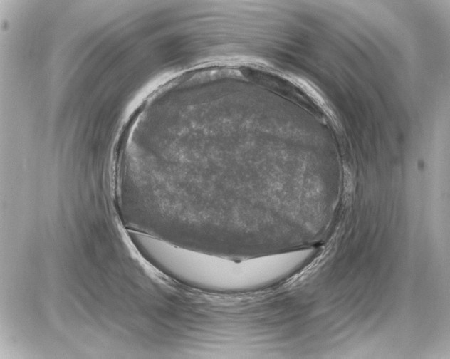 X0000085311046200704092318