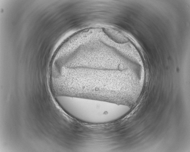 X0000085311048200704092318