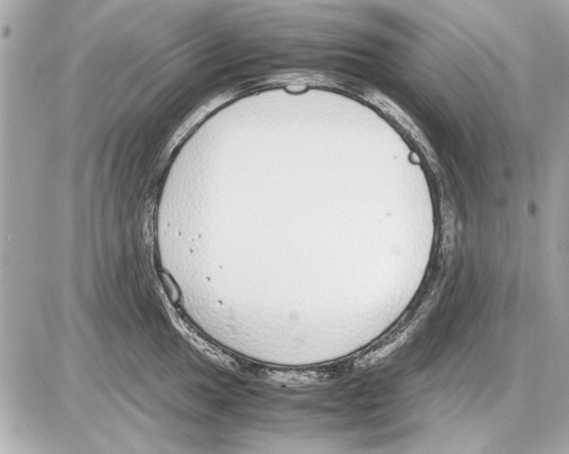 X0000085311049200704092318