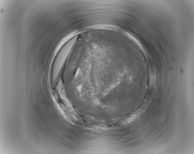 X0000085311050200704092318