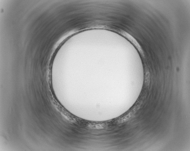 X0000085311051200704092318