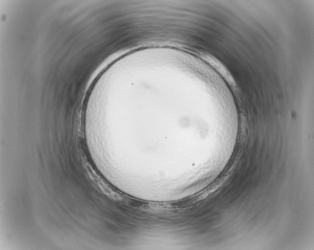 X0000085311052200704092318