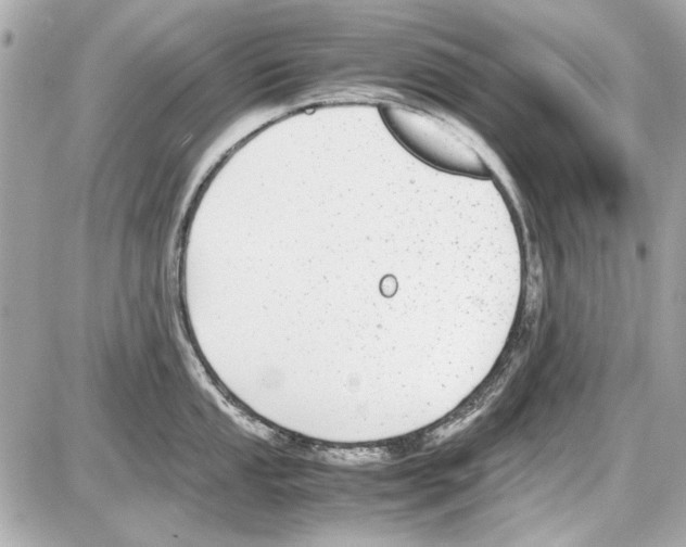 X0000085311053200704092318