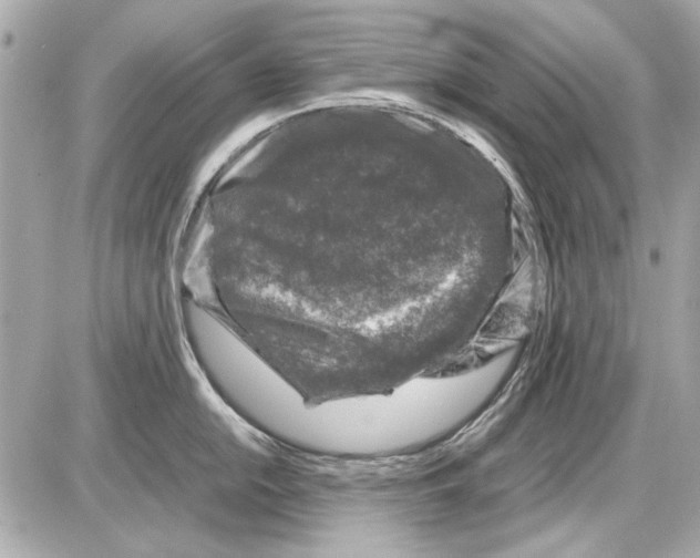 X0000085311054200704092318