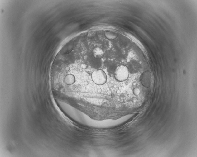 X0000085311055200704092318