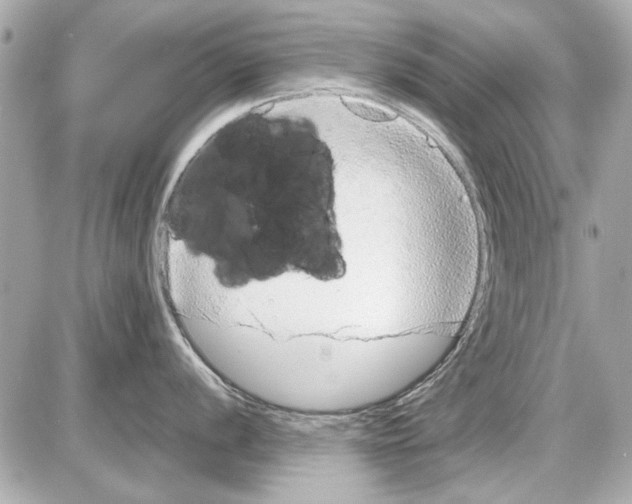 X0000085311056200704092318