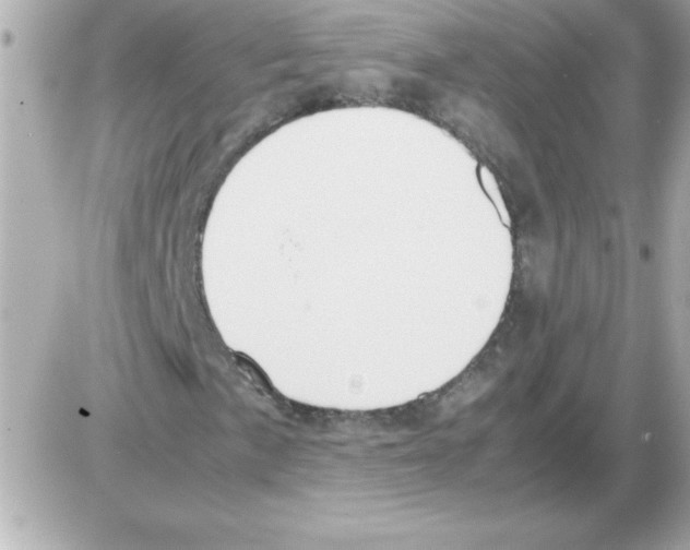 X0000085311057200704092317