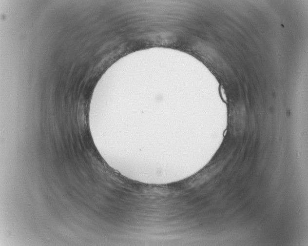 X0000085311058200704092317