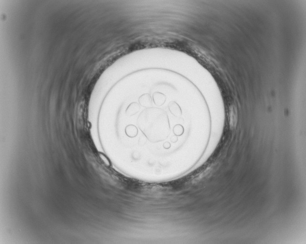 X0000085311059200704092317