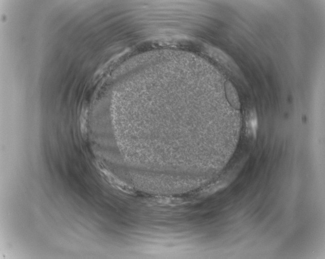 X0000085311060200704092317