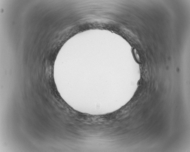 X0000085311061200704092317