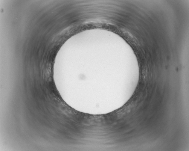 X0000085311062200704092317